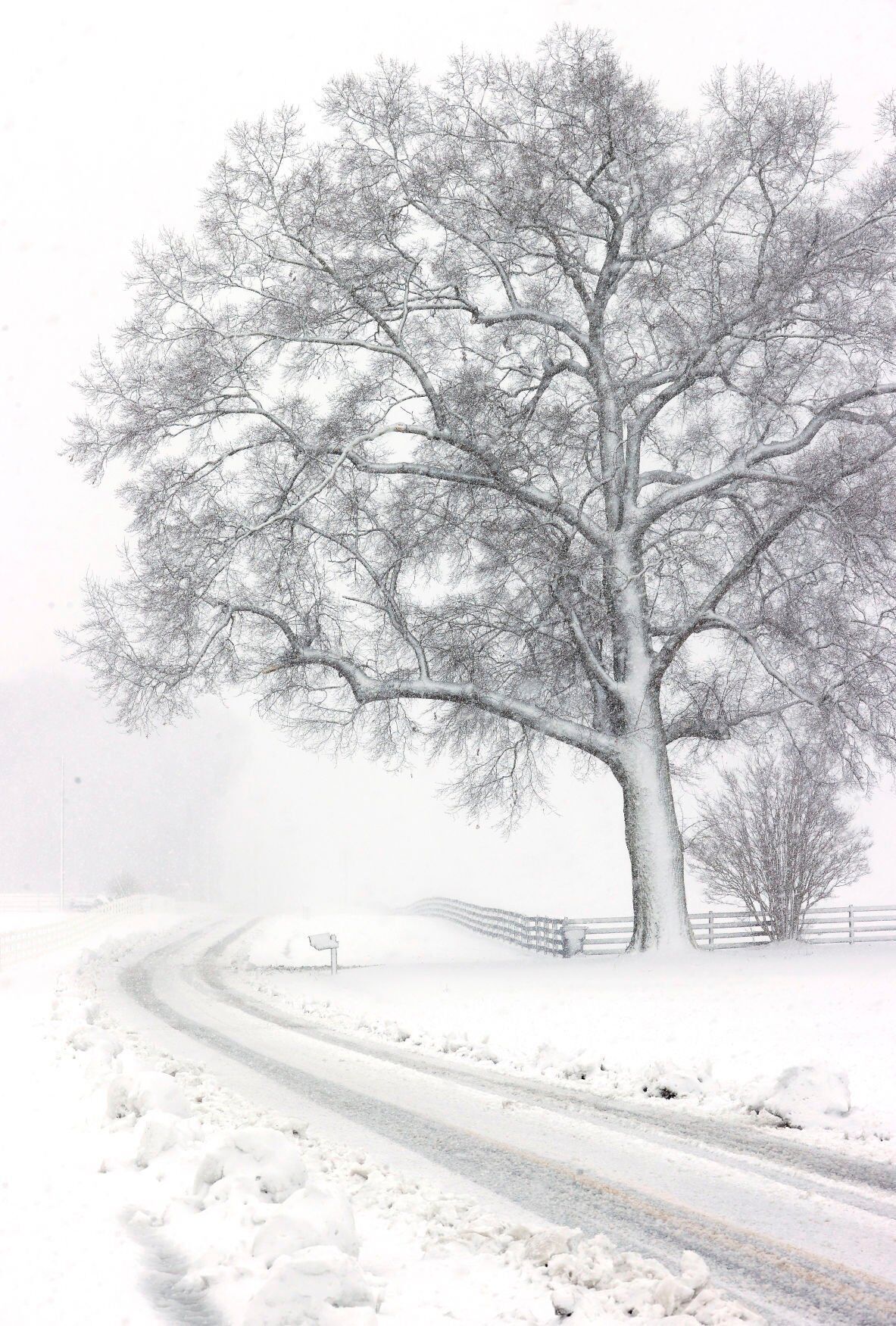 20220104_MET_SNOW_AWE03